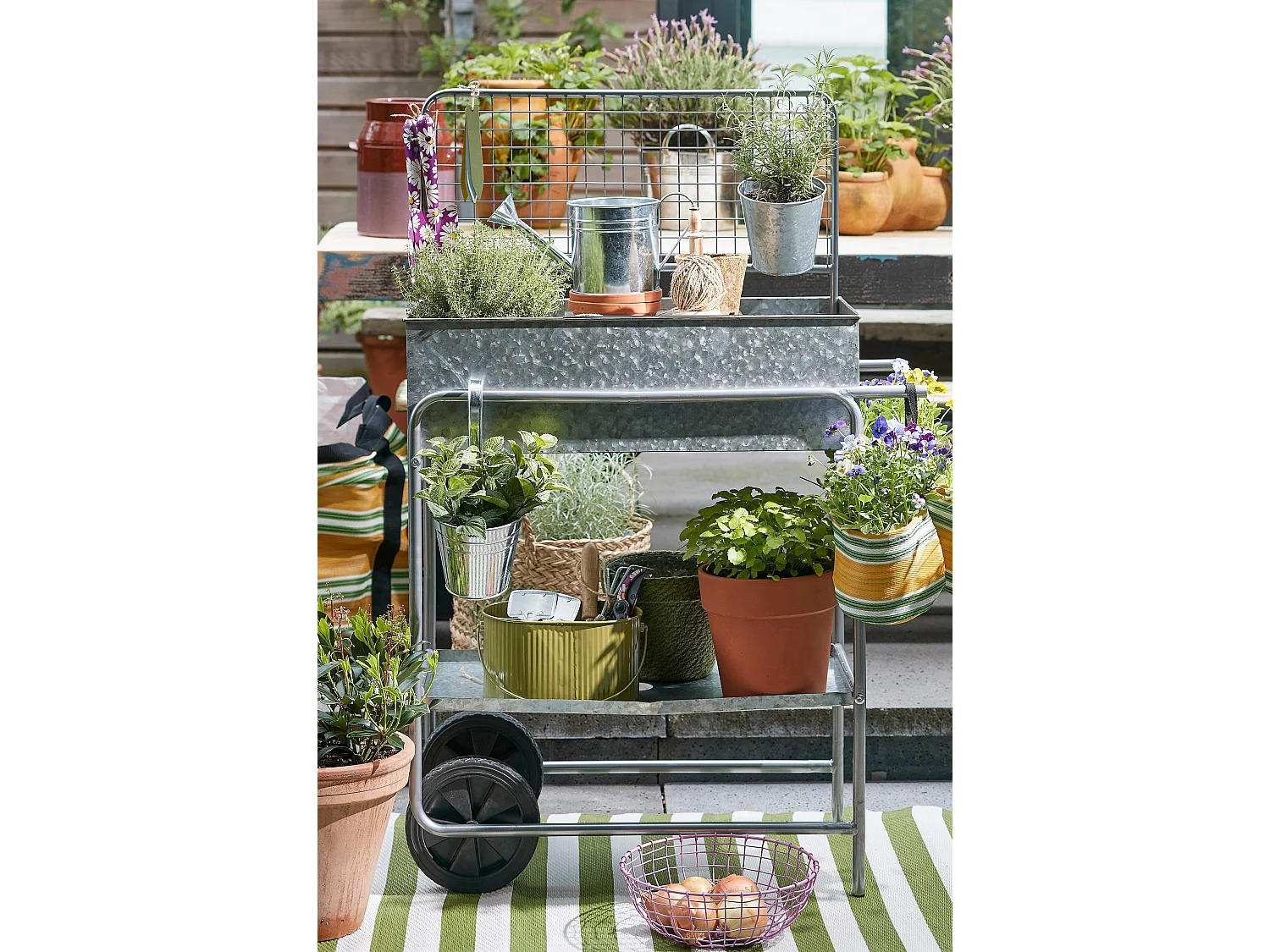 Anzuchttisch aus Metall - 77 x 38 x 119 - Grau - KEN