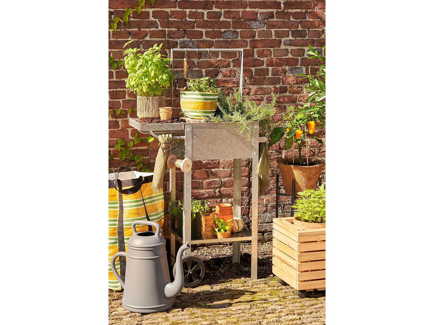 Kweektafel van metaal - 70 x 38 x 127 - Grijs - KEN