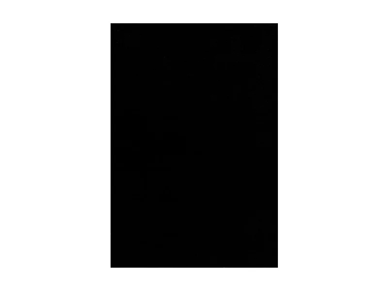 tapis salon 160x230 tissé noir rectangle motif uni NOSSA