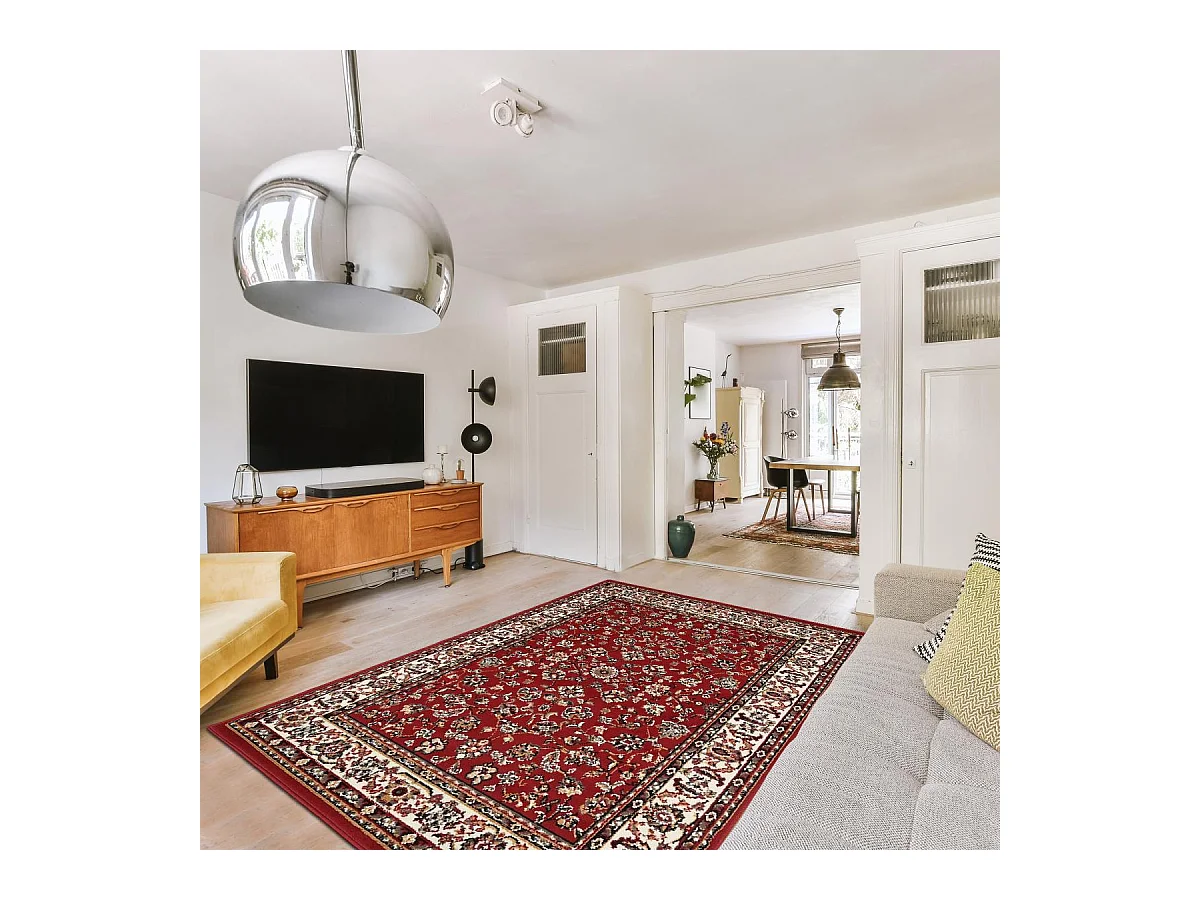 Tapis oriental 60x110 rectangle rouge tissé motif ancestral LYN1 NOMED