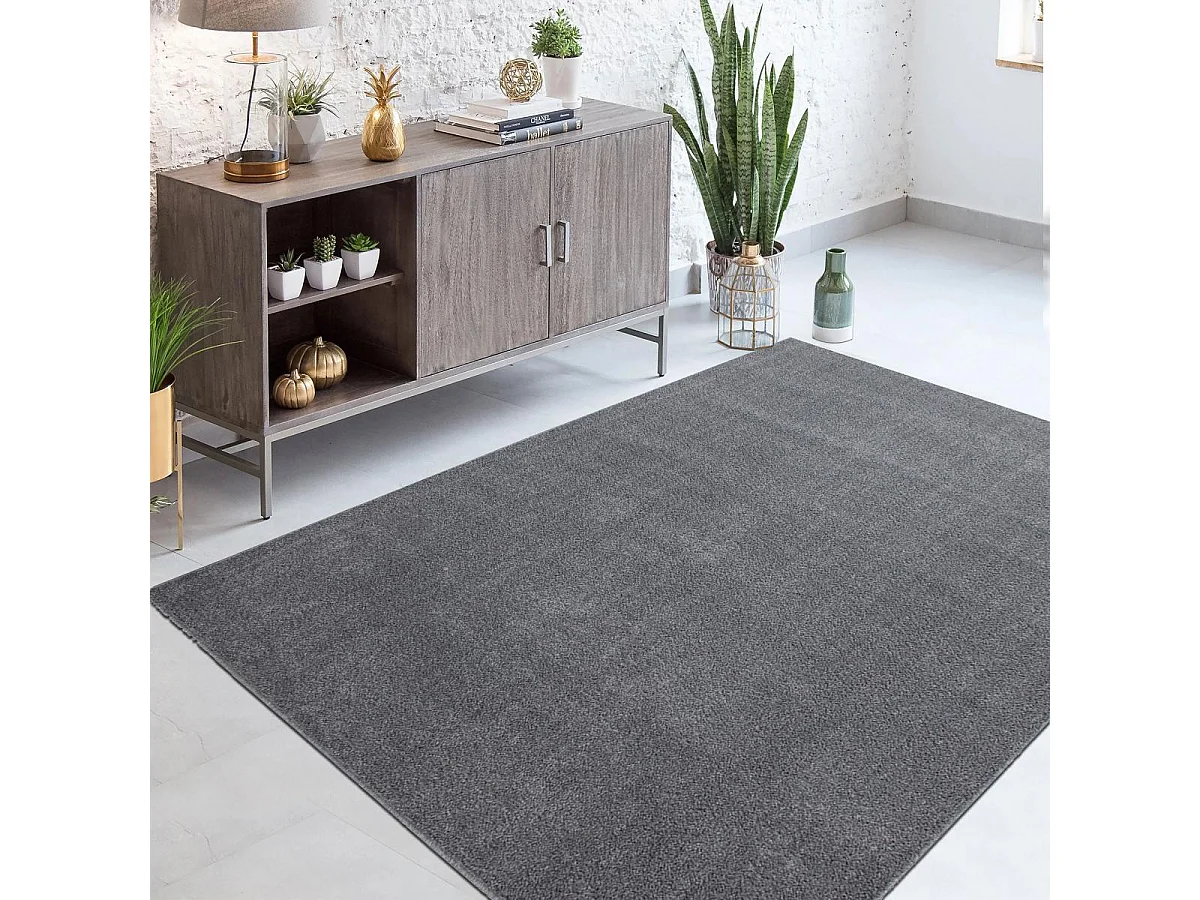tapis salon 160x230 tissé gris clair rectangle motif uni SOULA