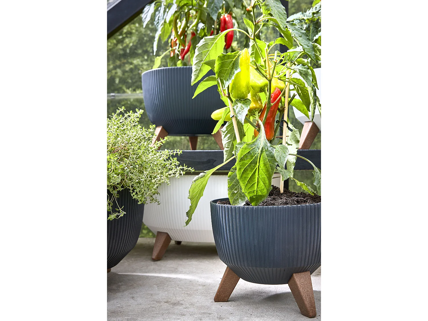 Pot de fleurs d'interieur  en polypropylène - 22 x Ø47 - Blanc cassé - DOPPIO