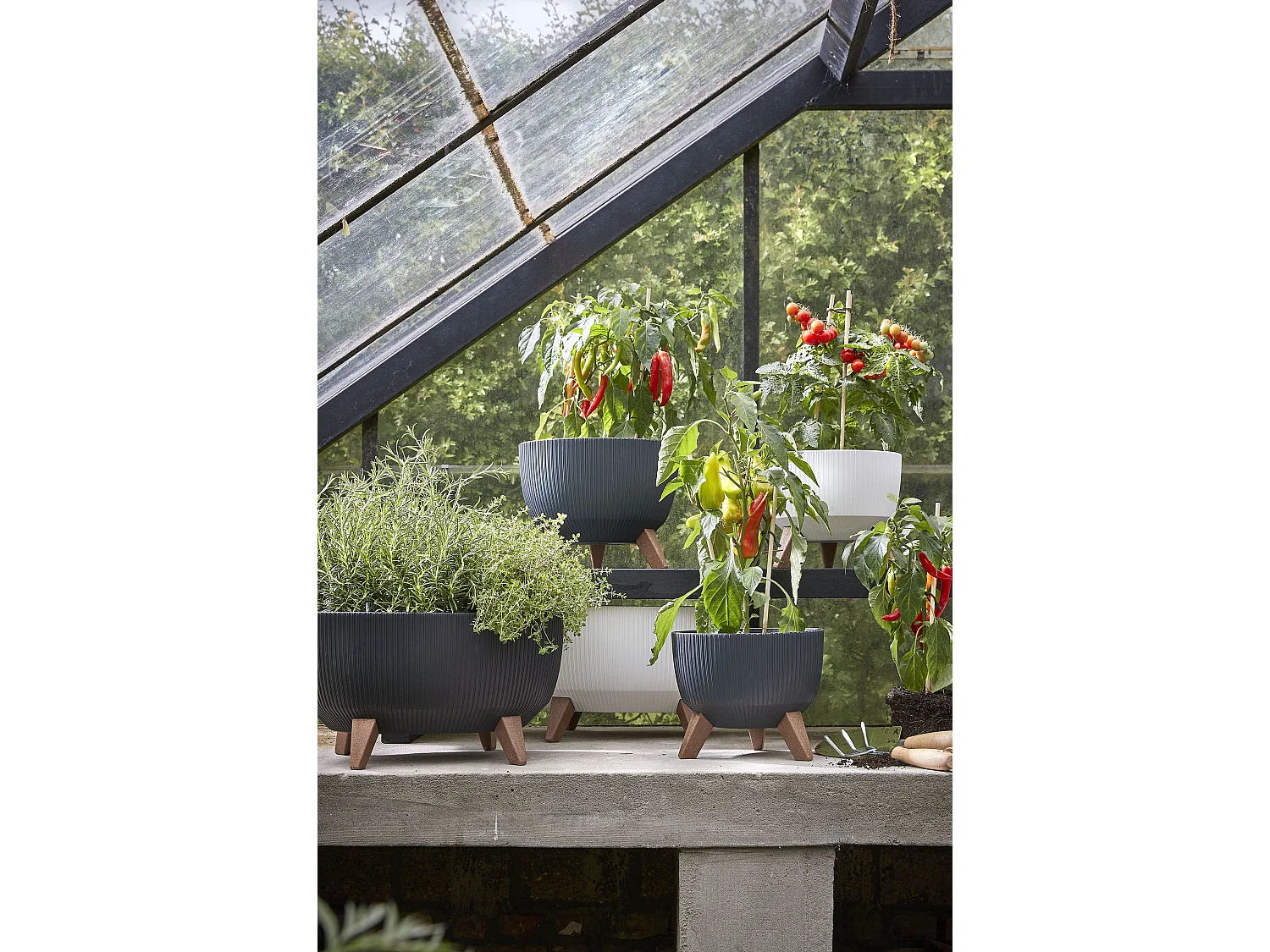 Pot de fleurs d'interieur  en polypropylène - 22 x Ø47 - Blanc cassé - DOPPIO