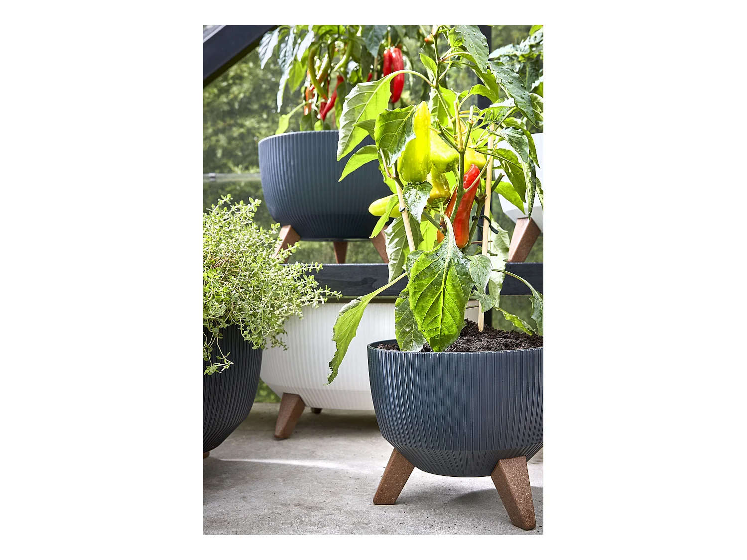 Pot de fleurs d'interieur  en polypropylène - 20.5 x Ø40 - Blanc cassé - DOPPIO