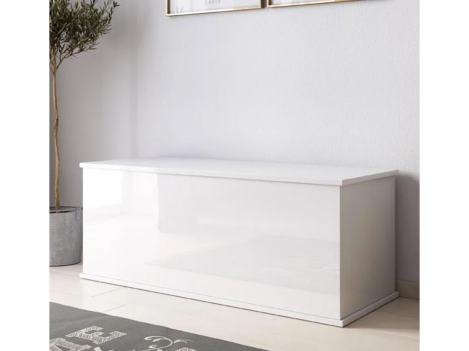 Coffre de rangement pour Chambre à coucher en Blanc 100x40x40cm Ariel