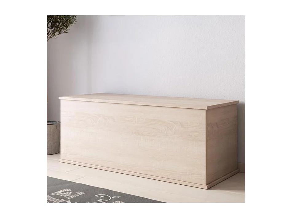 Baúl para Dormitorio en Sonoma 100x40x40cm Ariel