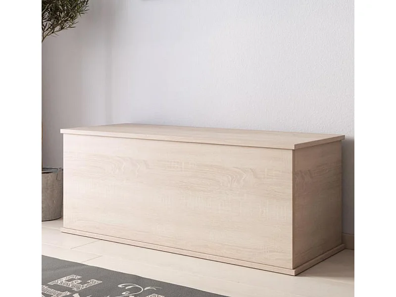 Coffre de rangement pour Chambre à coucher en Sonoma 100x40x40cm Ariel