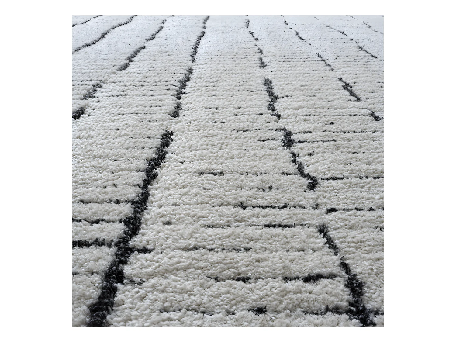 Adélaïde I - Tapis contemporain -  Écru - 160x230cm