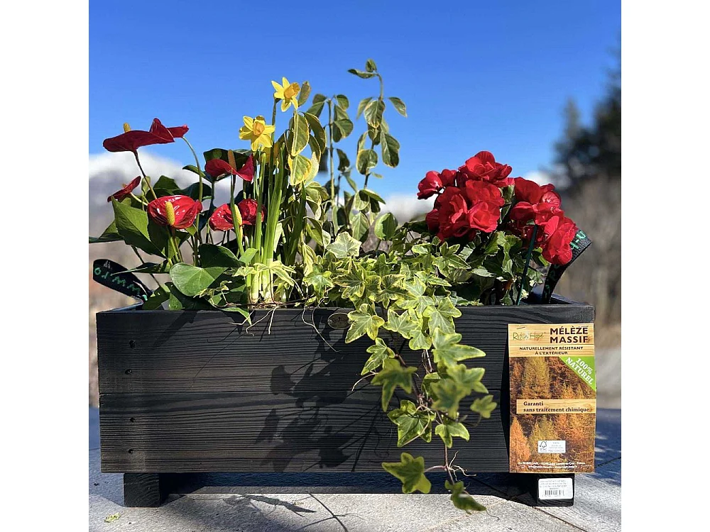 Jardinière en mélèze Moline 60 x 22 x 20 cm Cérusé noir