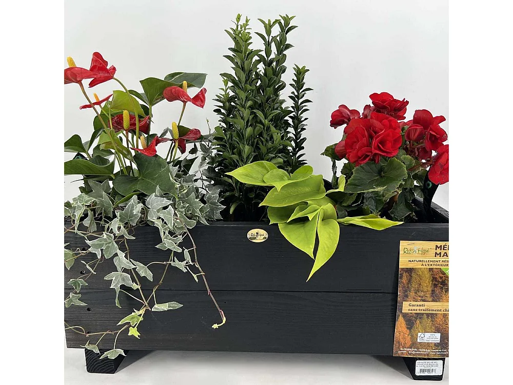 Jardinière en mélèze Moline 60 x 22 x 20 cm Cérusé noir