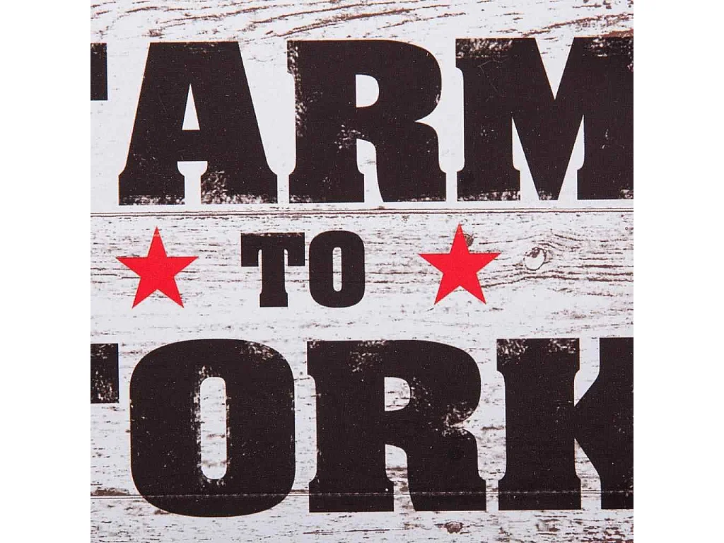 Percha cerdo de pared 21x34 cm