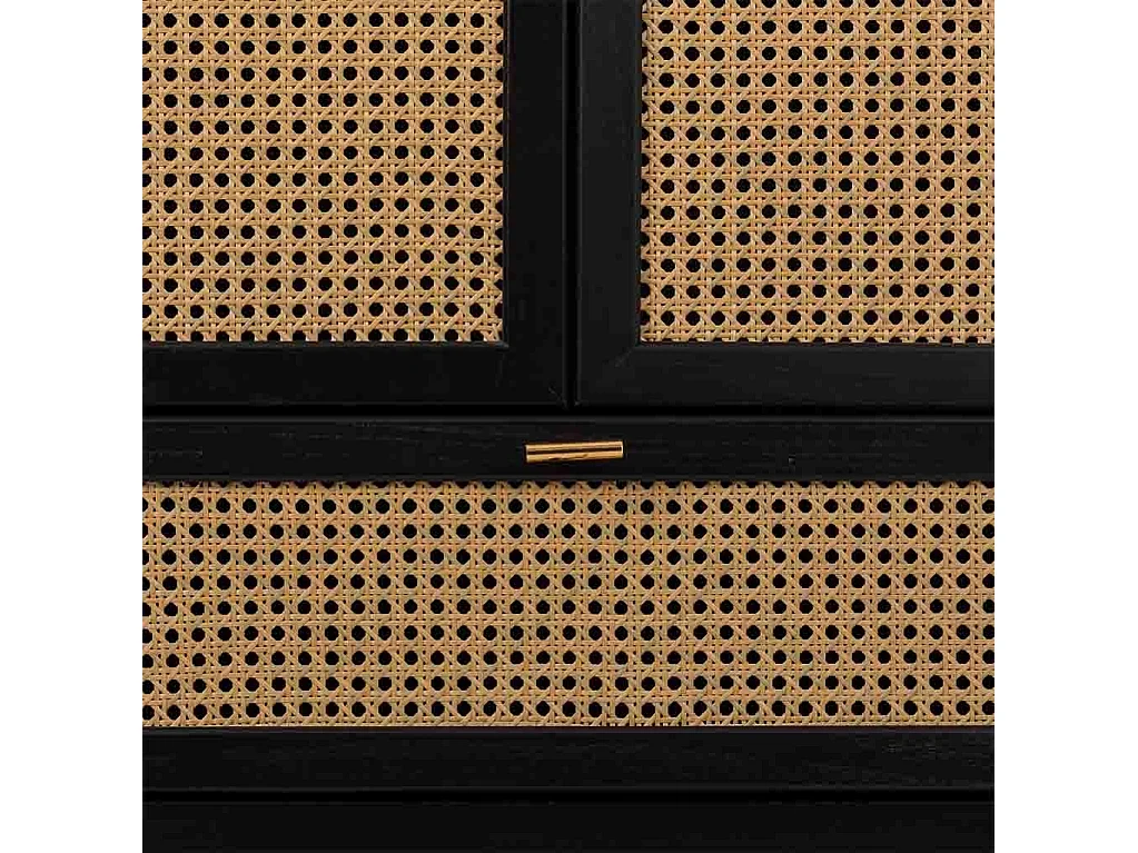 Armoire en bois et grillage noir 97x47x167h