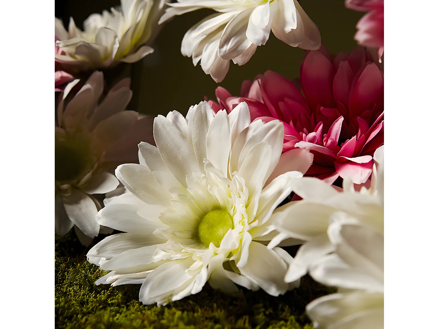 Tige de Gerbera - Blanc / 59 cm