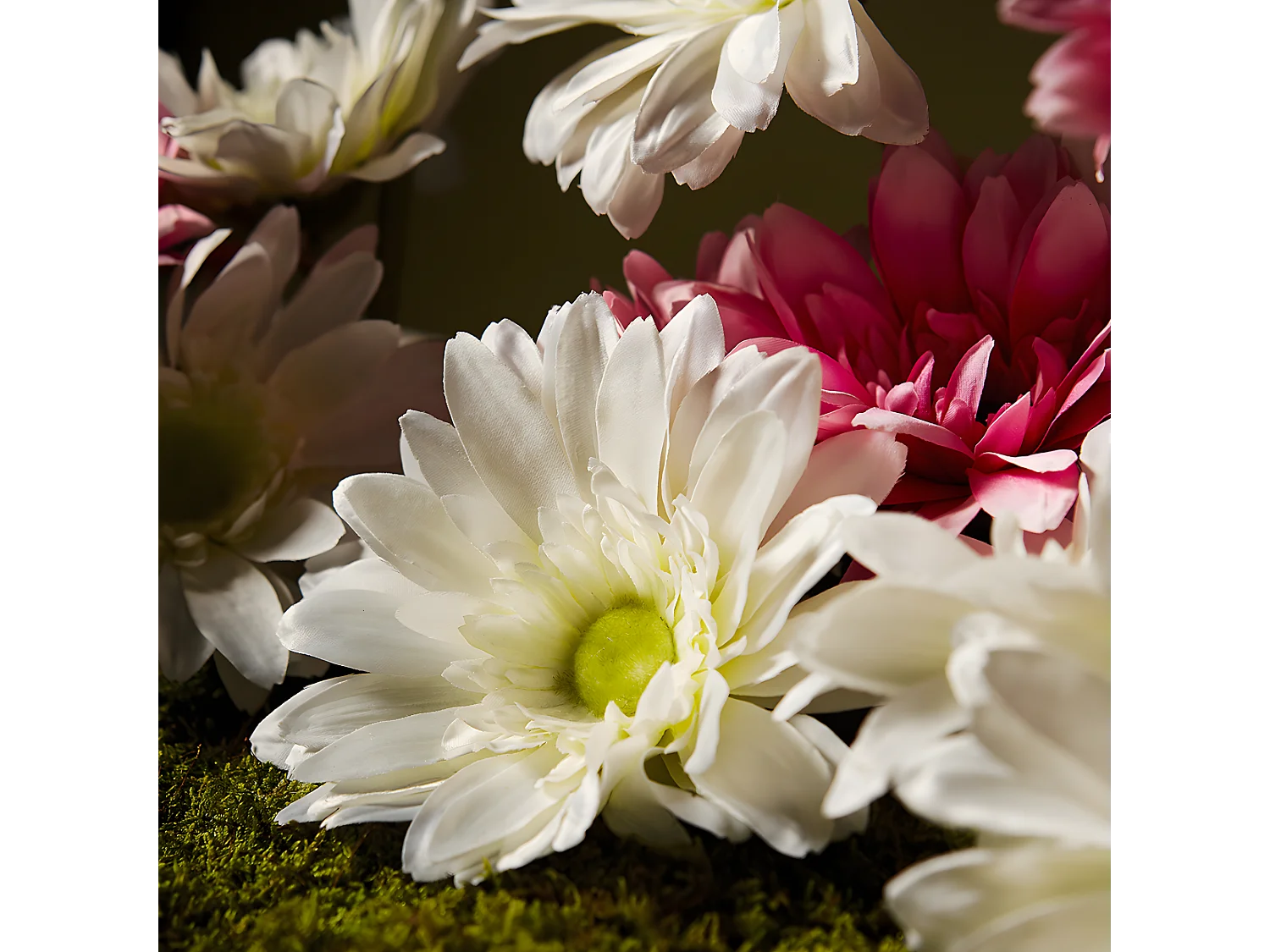 Tige de Gerbera - Blanc / 59 cm