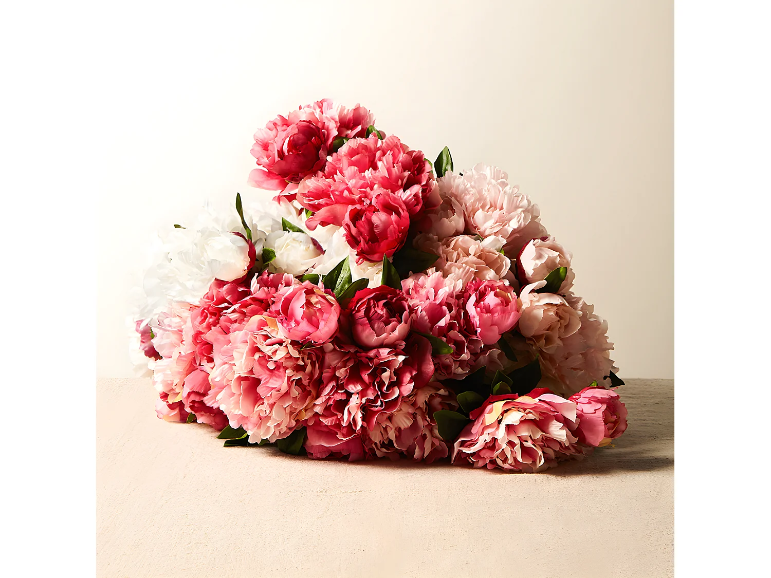 Tige de Pivoine - Rose