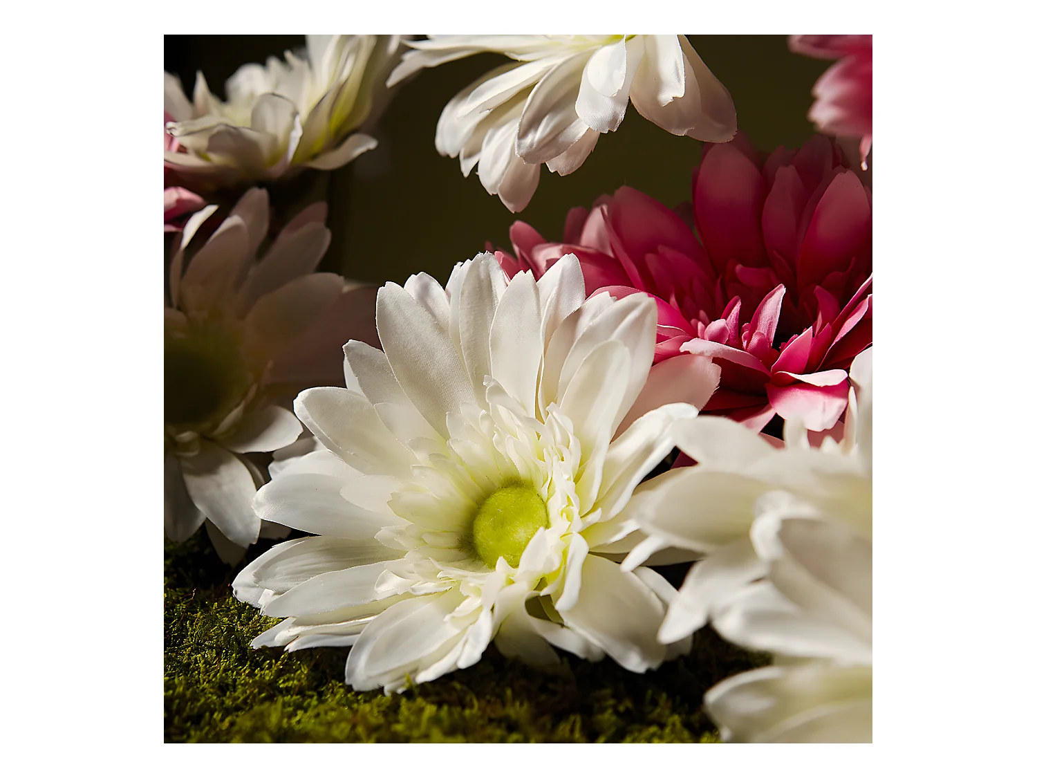 Tige de Gerbera - Rouge / 59 cm