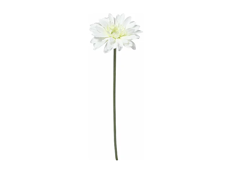 Tige de Gerbera - Rouge / 59 cm