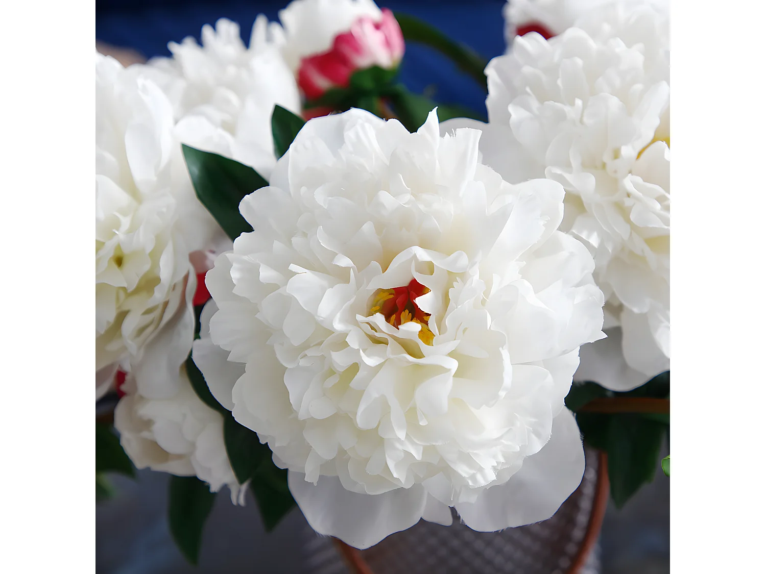 Tige de Pivoine - Rose pâle