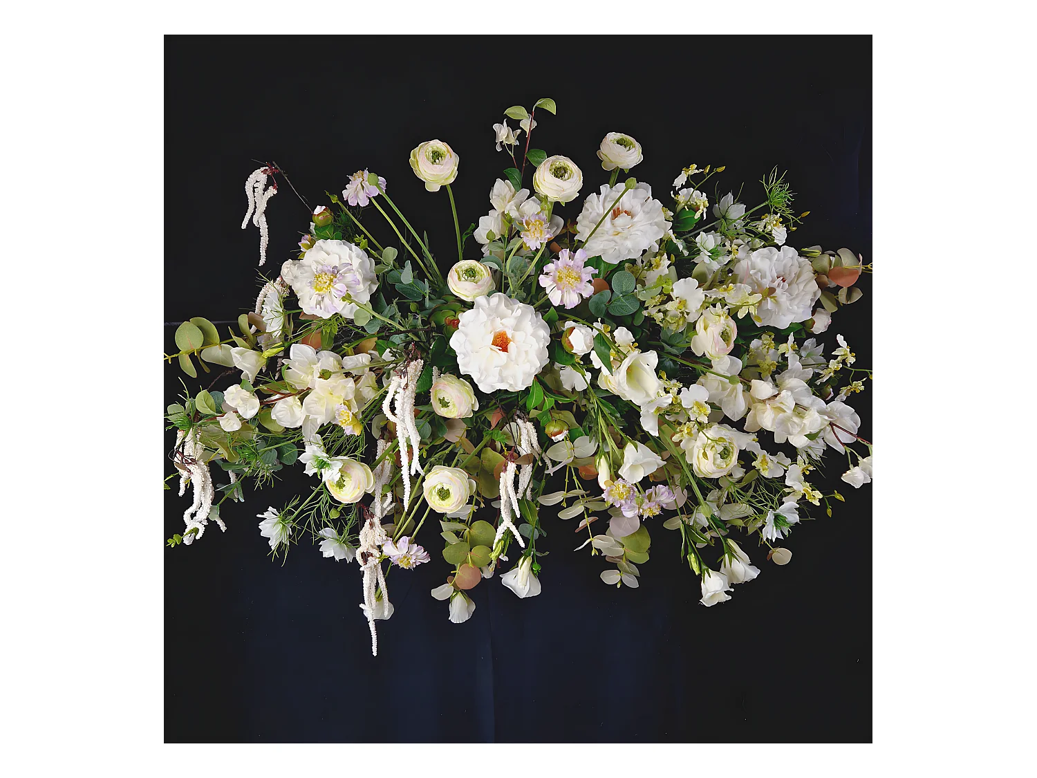 Tige de Renoncule Avec Bourgeon - Blanc