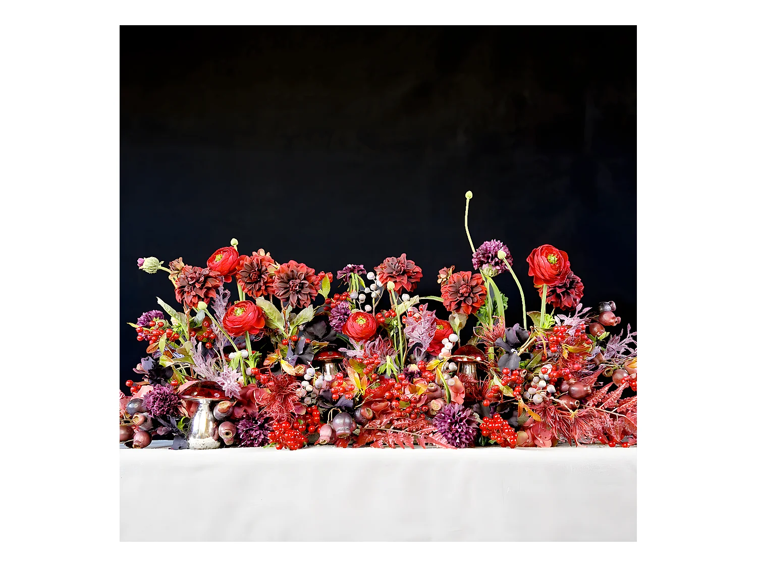 Tige de Renoncule Avec Bourgeon - Blanc