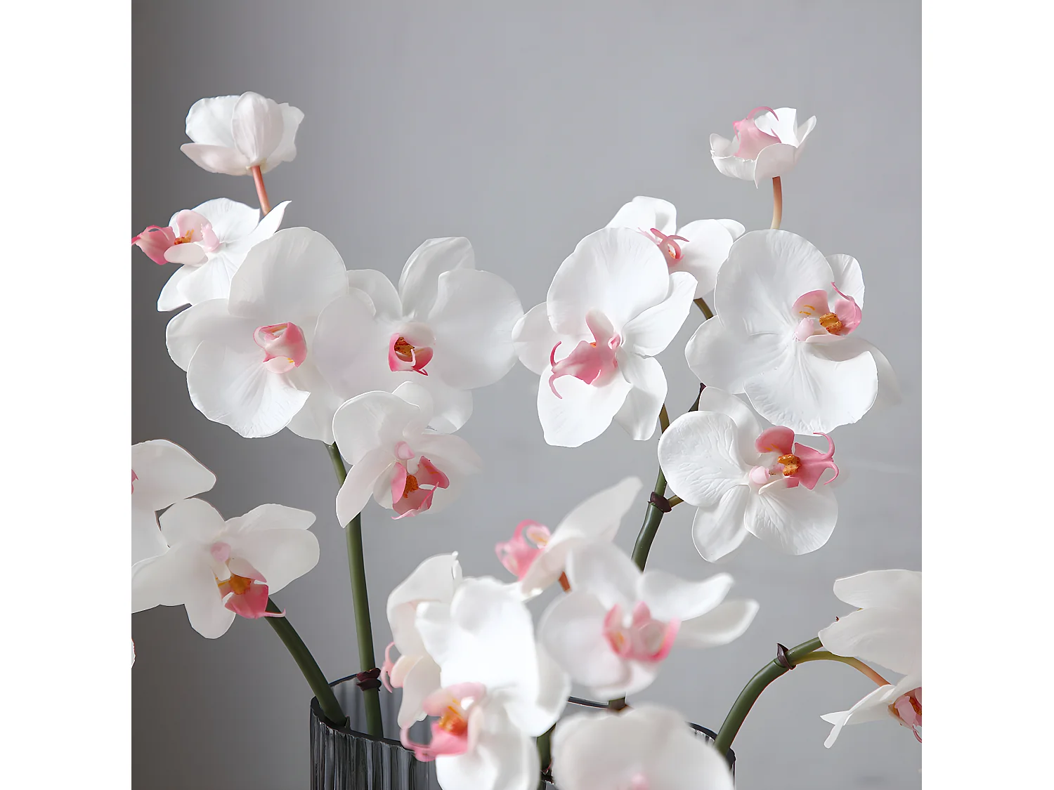 Tige d'Orchidée Phalaenopsis - Rose / 45 cm