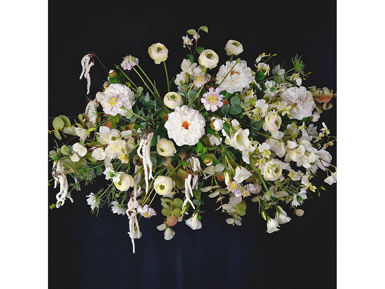 Tige de Renoncule Avec Bourgeon - Violet