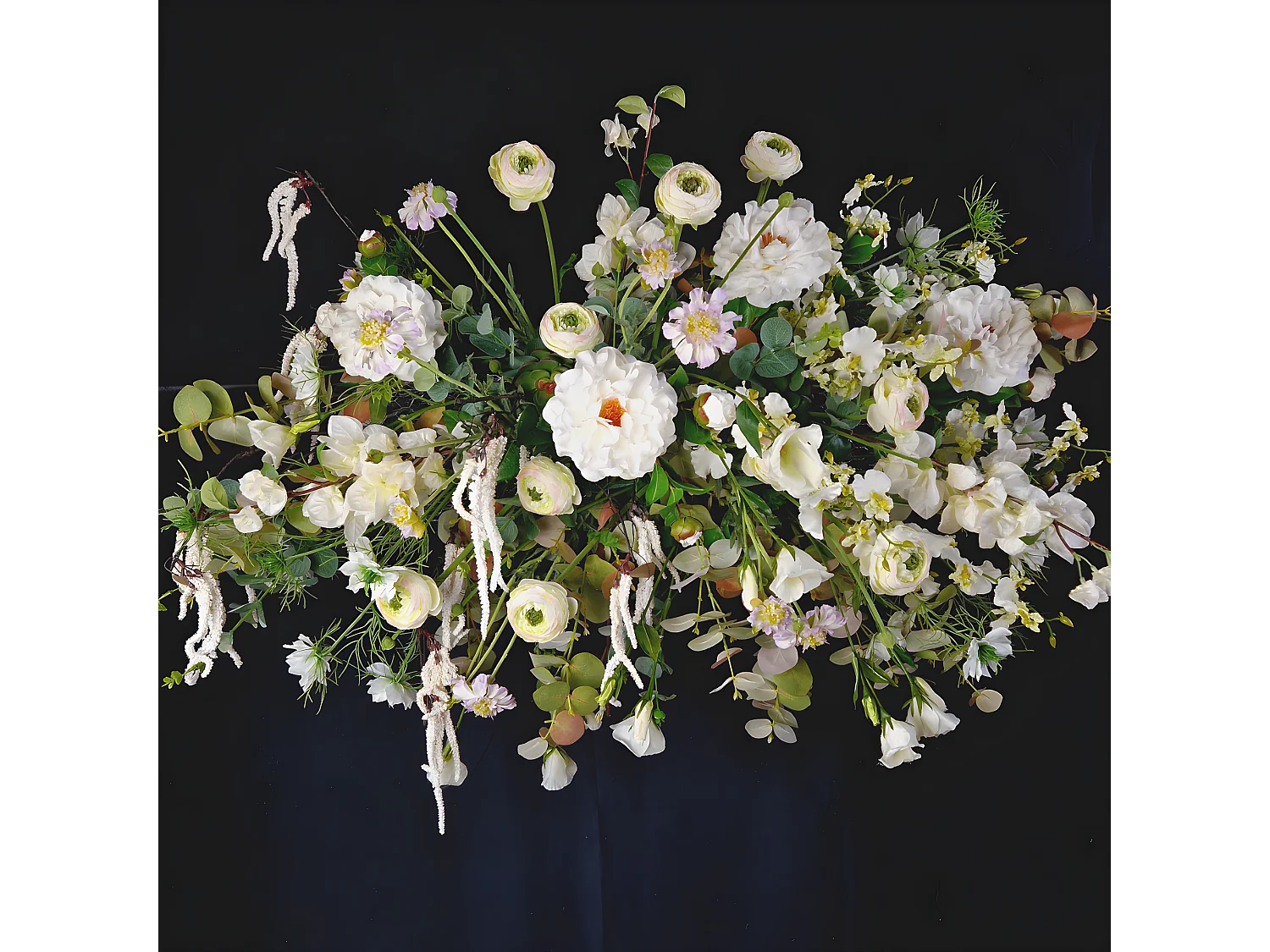 Tige de Renoncule Avec Bourgeon - Rose