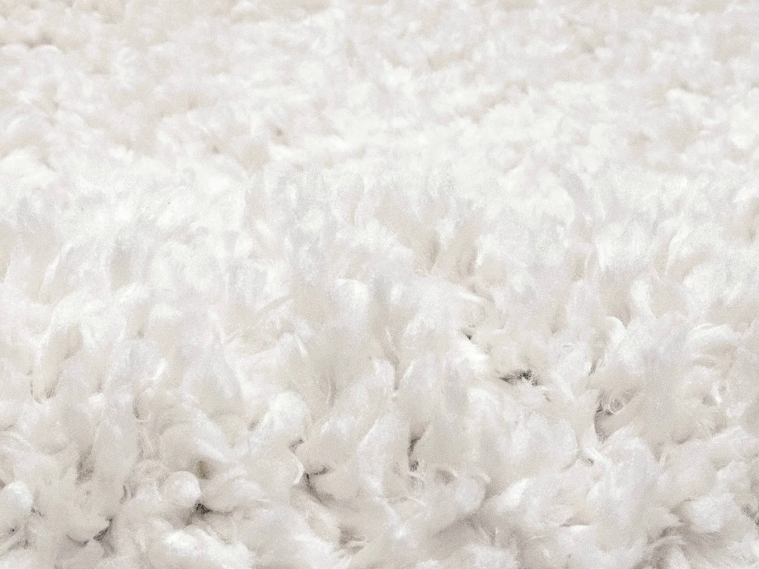 Tapis shaggy berbère - 120 x 170 cm - Blanc et doré - PRYSMI
