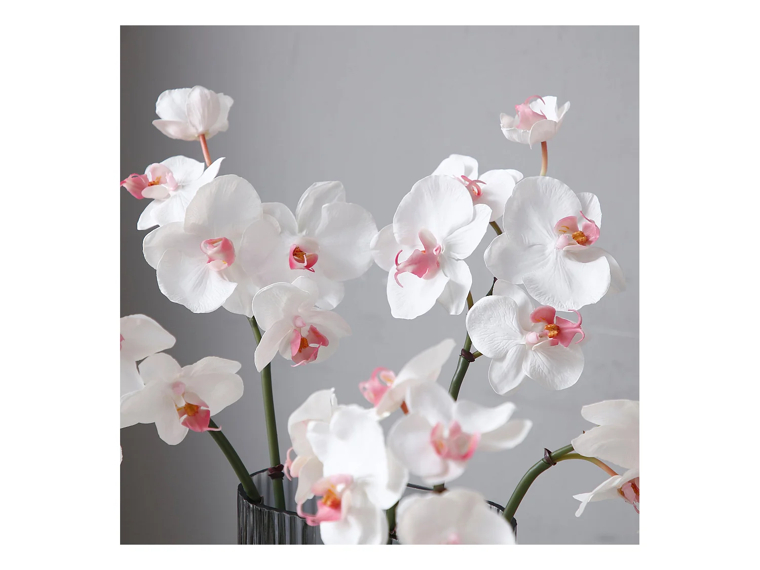 Tige d'Orchidée Phalaenopsis - Rose / 60 cm