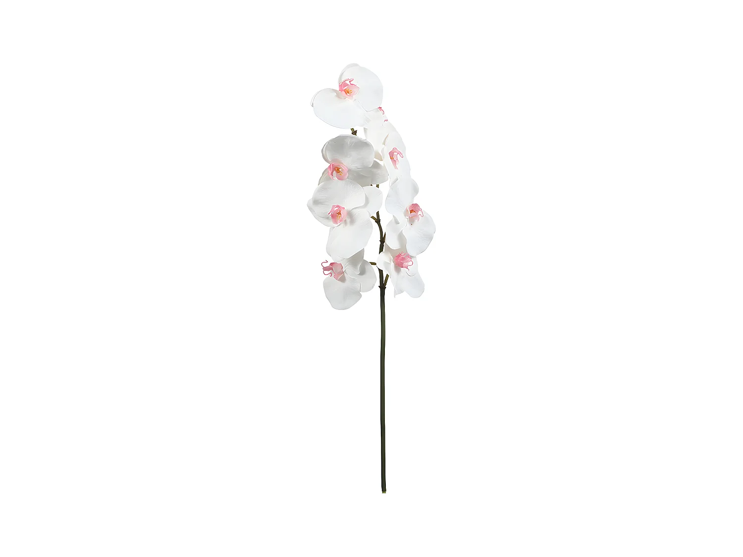 Tige d'Orchidée Phalaenopsis - Rose / 60 cm