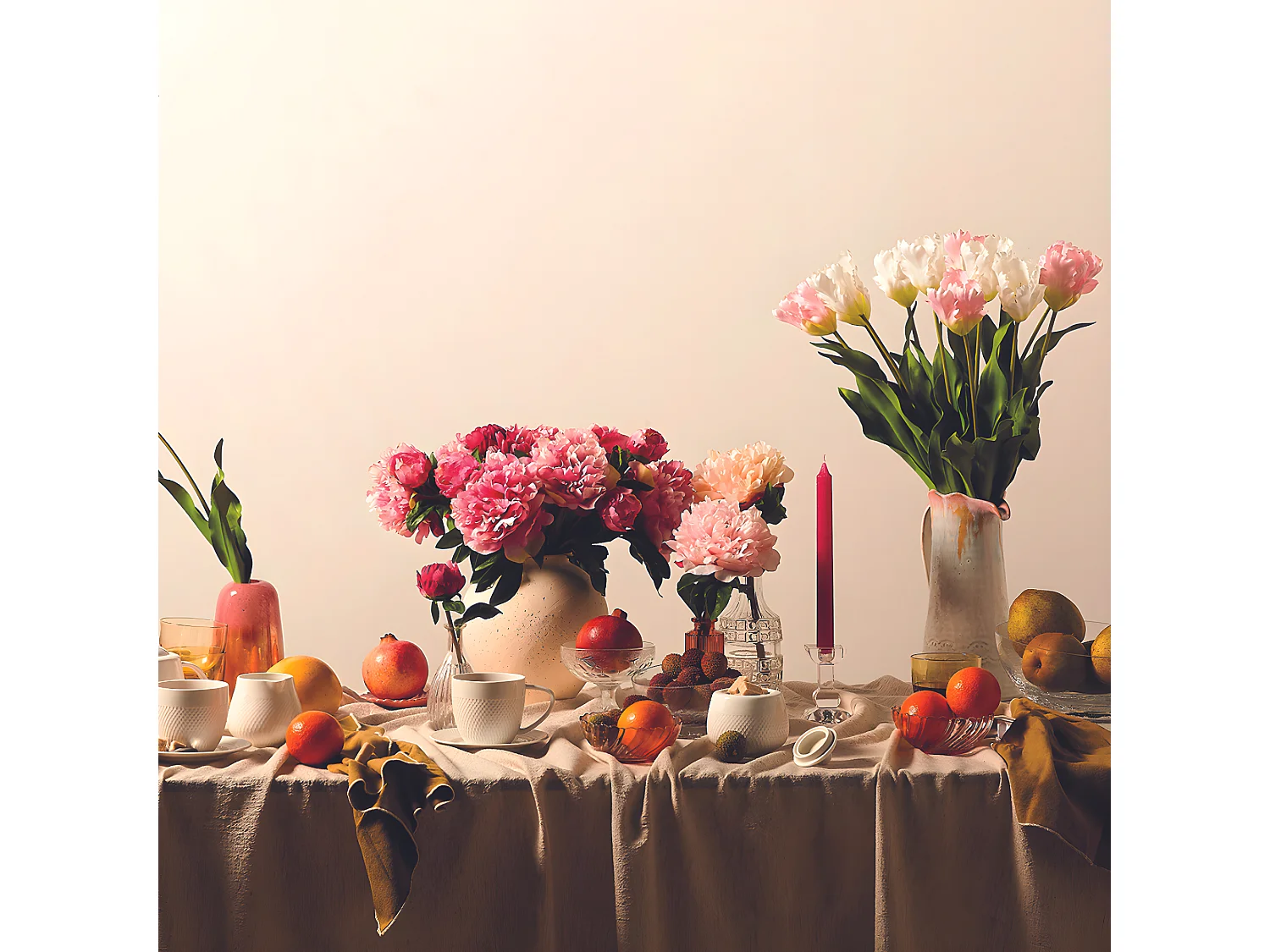 Tige de Tulipe Perroquet - Rose