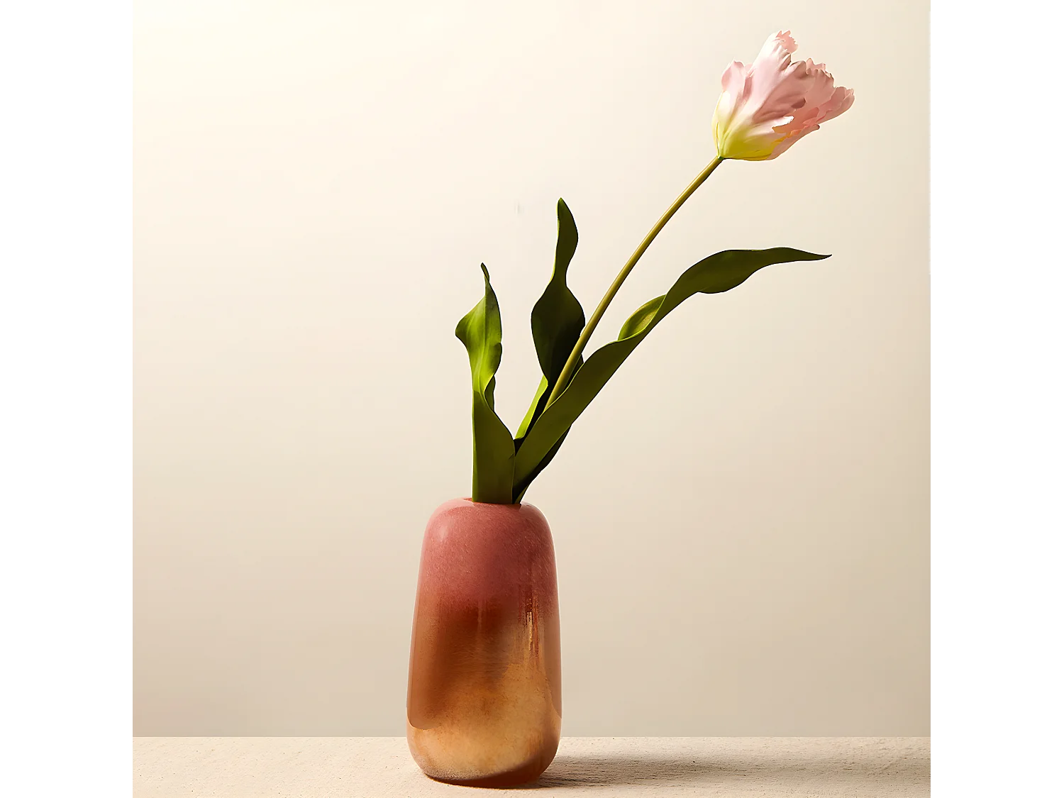 Tige de Tulipe Perroquet - Rose