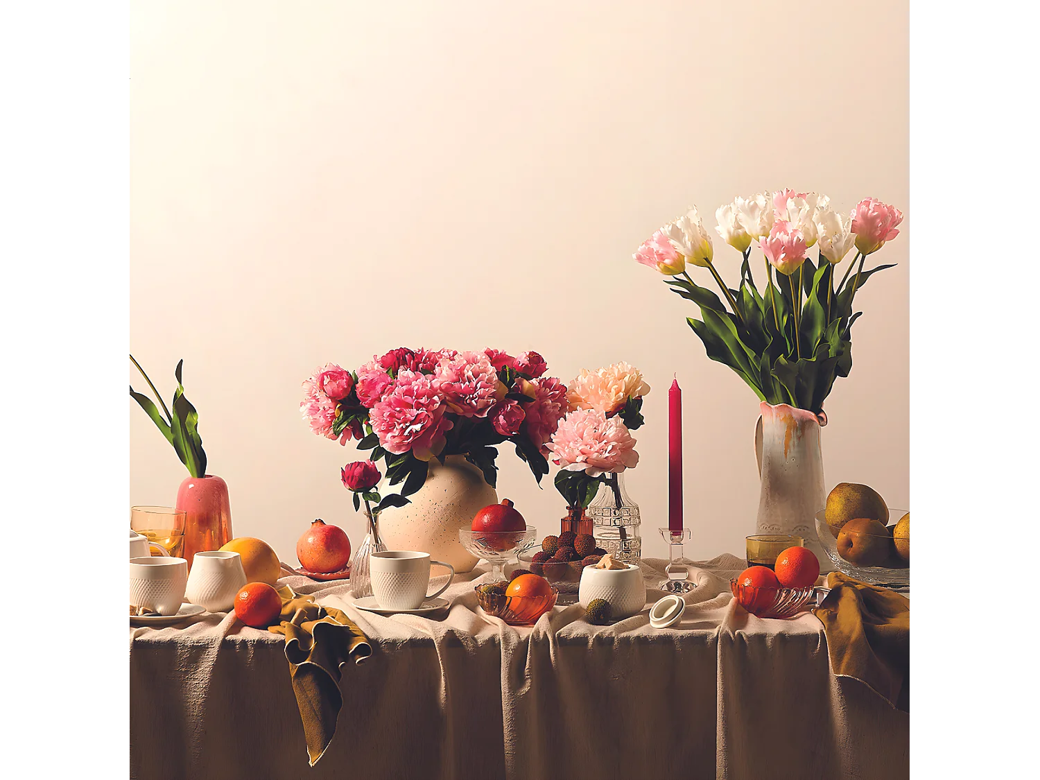 Tige de Tulipe Perroquet - Rose