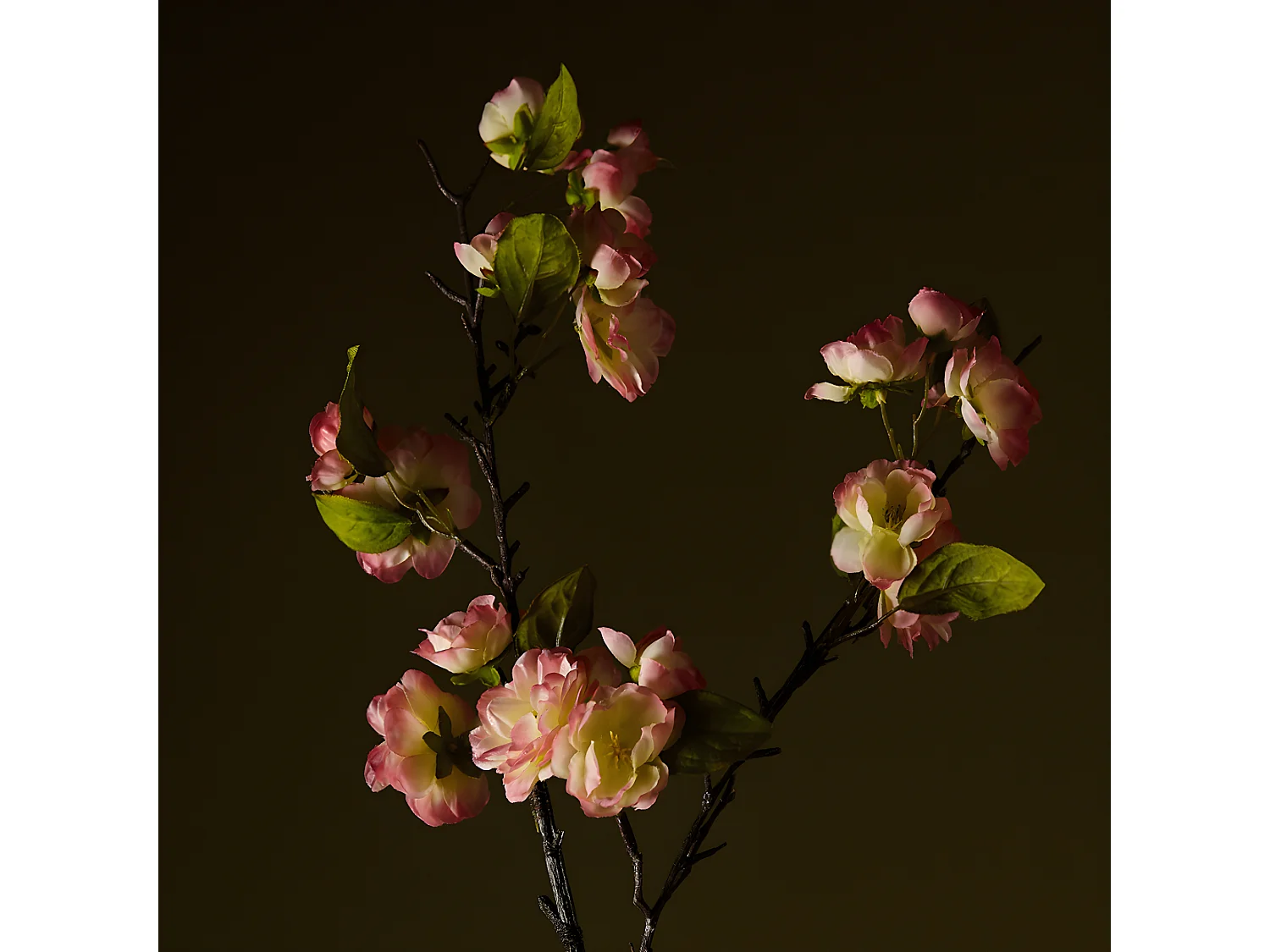 Tige de Fleurs de Cerisier - Blanc / 100 cm