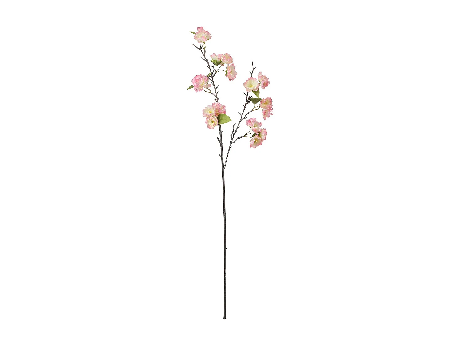 Tige de Fleurs de Cerisier - Blanc / 100 cm