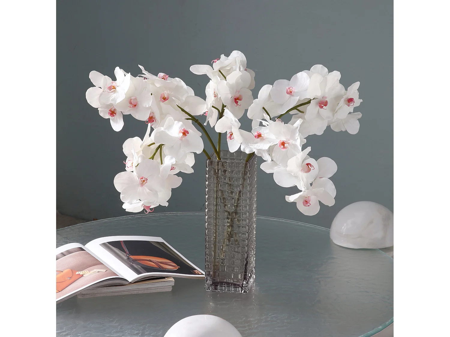 Tige d'Orchidée Bandailan - Blanc