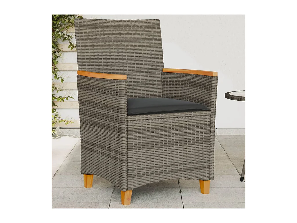 Chaises de jardin coussins lot de 2 gris résine tressée et bois