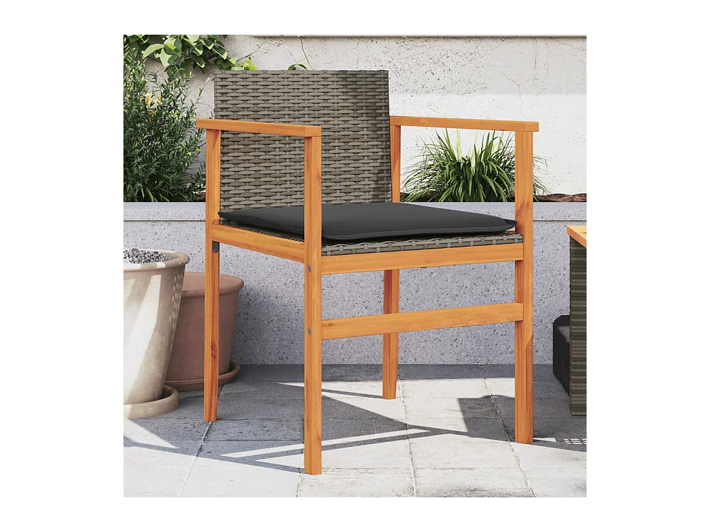 Chaises de jardin coussins lot de 2 gris résine tressée et bois