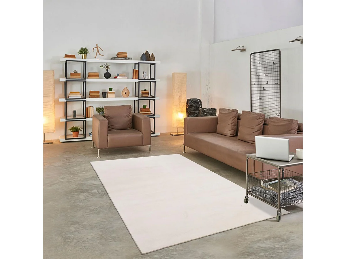 Tapis d'entrée LYN10 LAVABLE 80x150 soyeux et doux, tapis crème uni à l'aspect : Shaggy