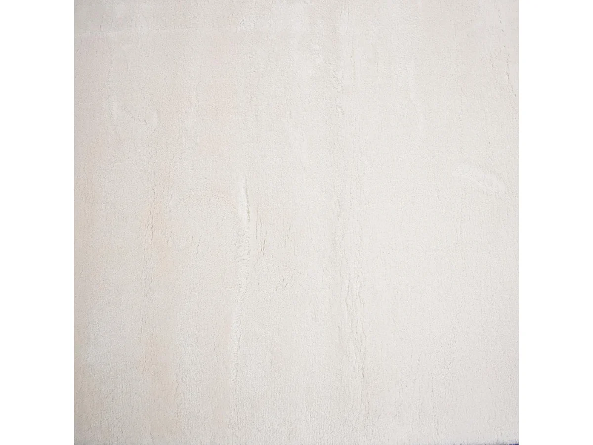 Tapis d'entrée LYN10 LAVABLE 80x150 soyeux et doux, tapis crème uni à l'aspect : Shaggy