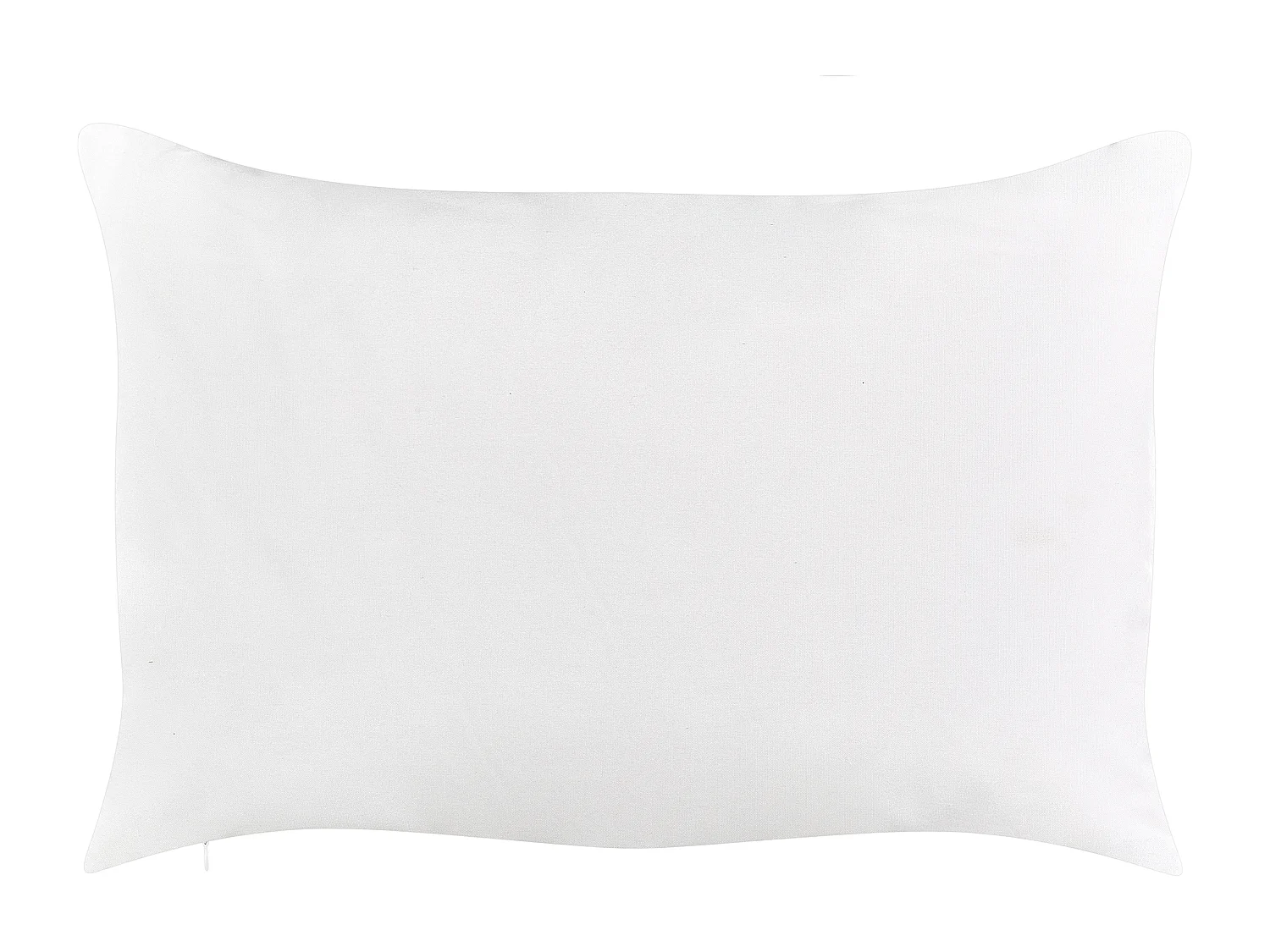 Set van 2 tuinkussens VALLORIA 40 x 60 cm Blauw Bloempatroon