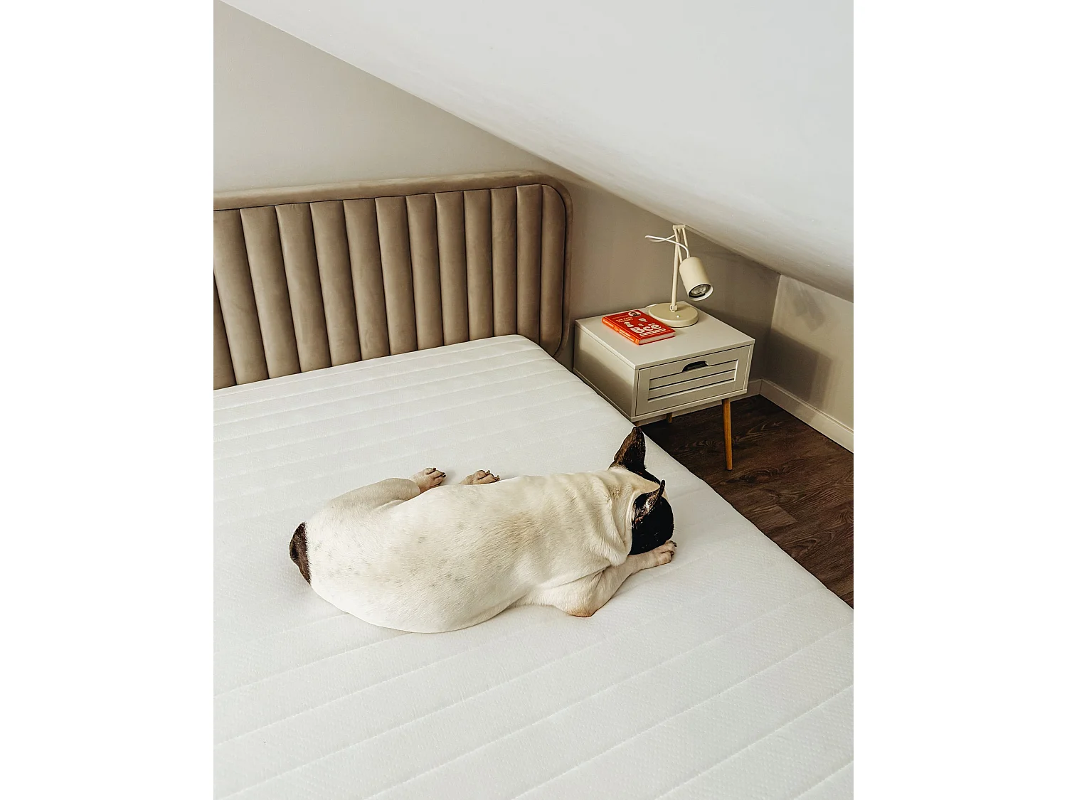 Latex pocketvering matras SPRINGY Middelhard 180 x 200 cm