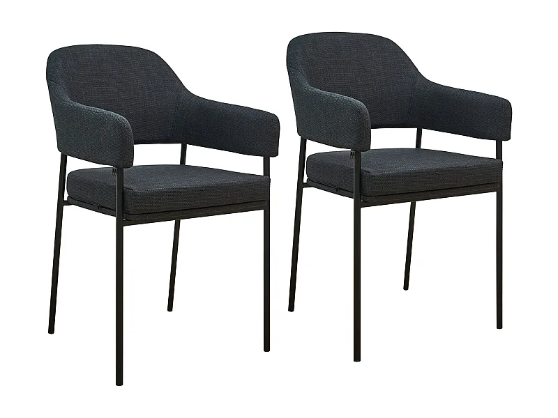 Lot de 2 chaises de salle à manger