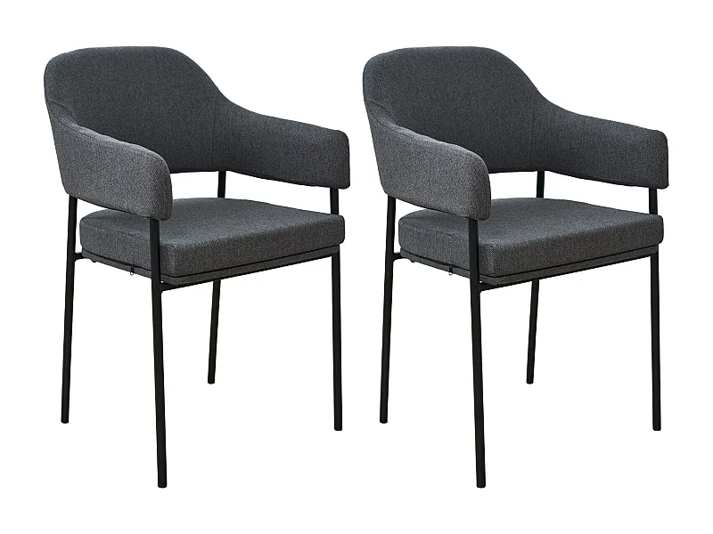 Lot de 2 chaises de salle à manger