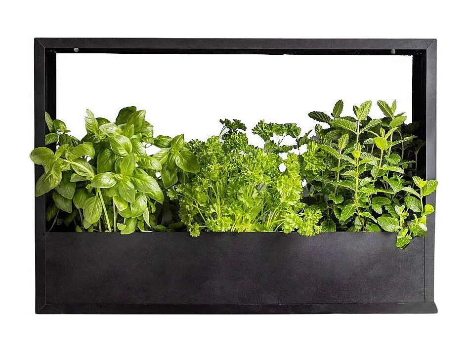 Cadre mural en fer pour plantes Garden 58 x 18 x 40 cm