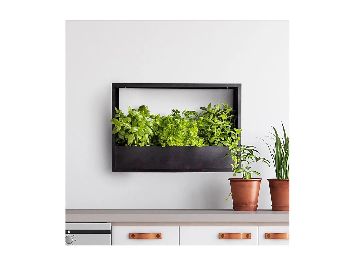 Cadre mural en fer pour plantes Garden 58 x 18 x 40 cm