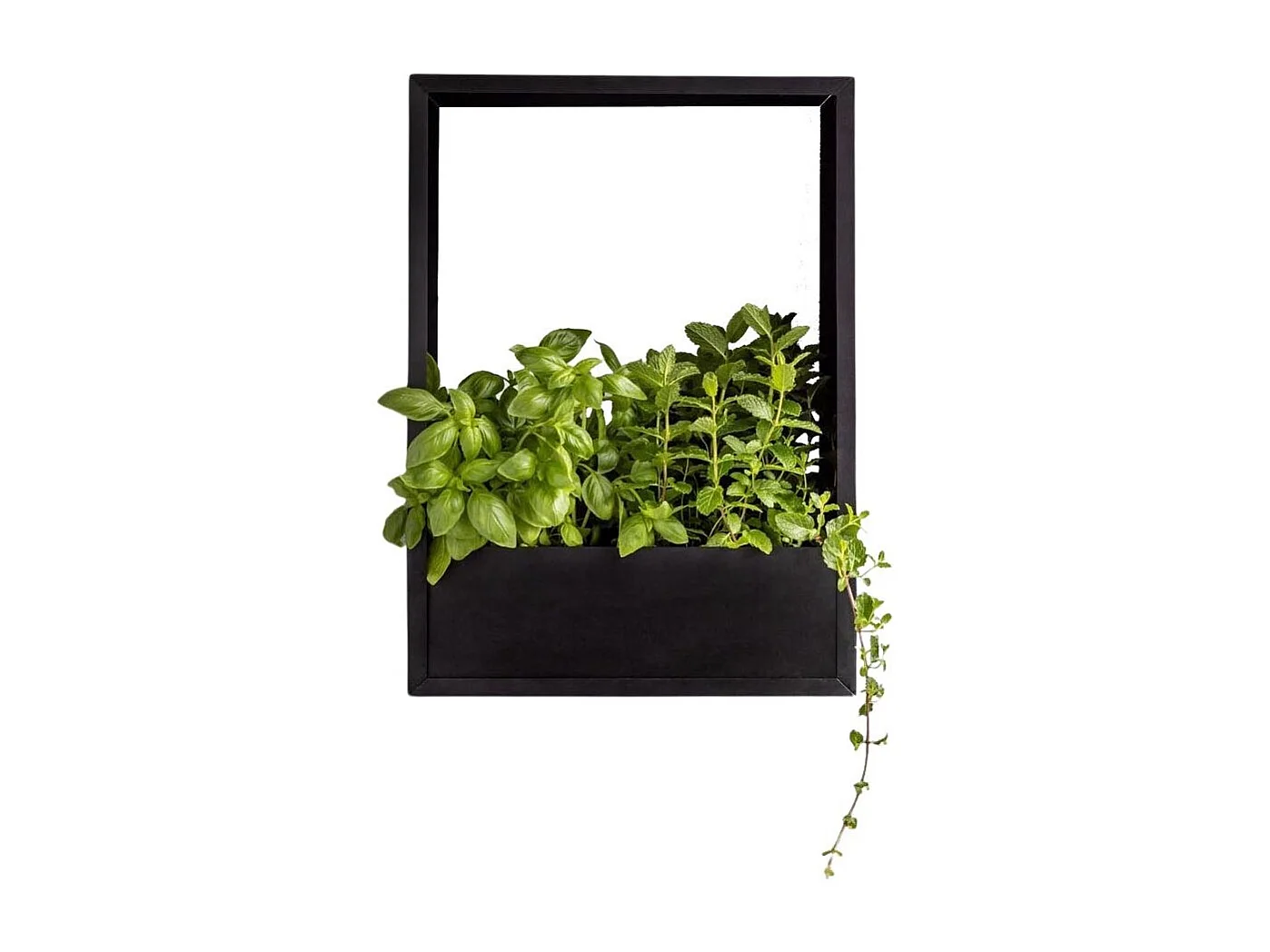 Cadre mural en fer pour plantes Garden 36 x 18 x 50 cm