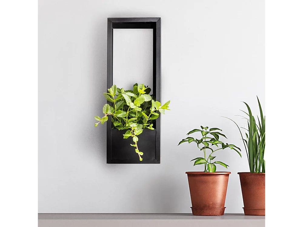 Cadre mural en fer pour plantes Garden 18 x 18 x 50 cm
