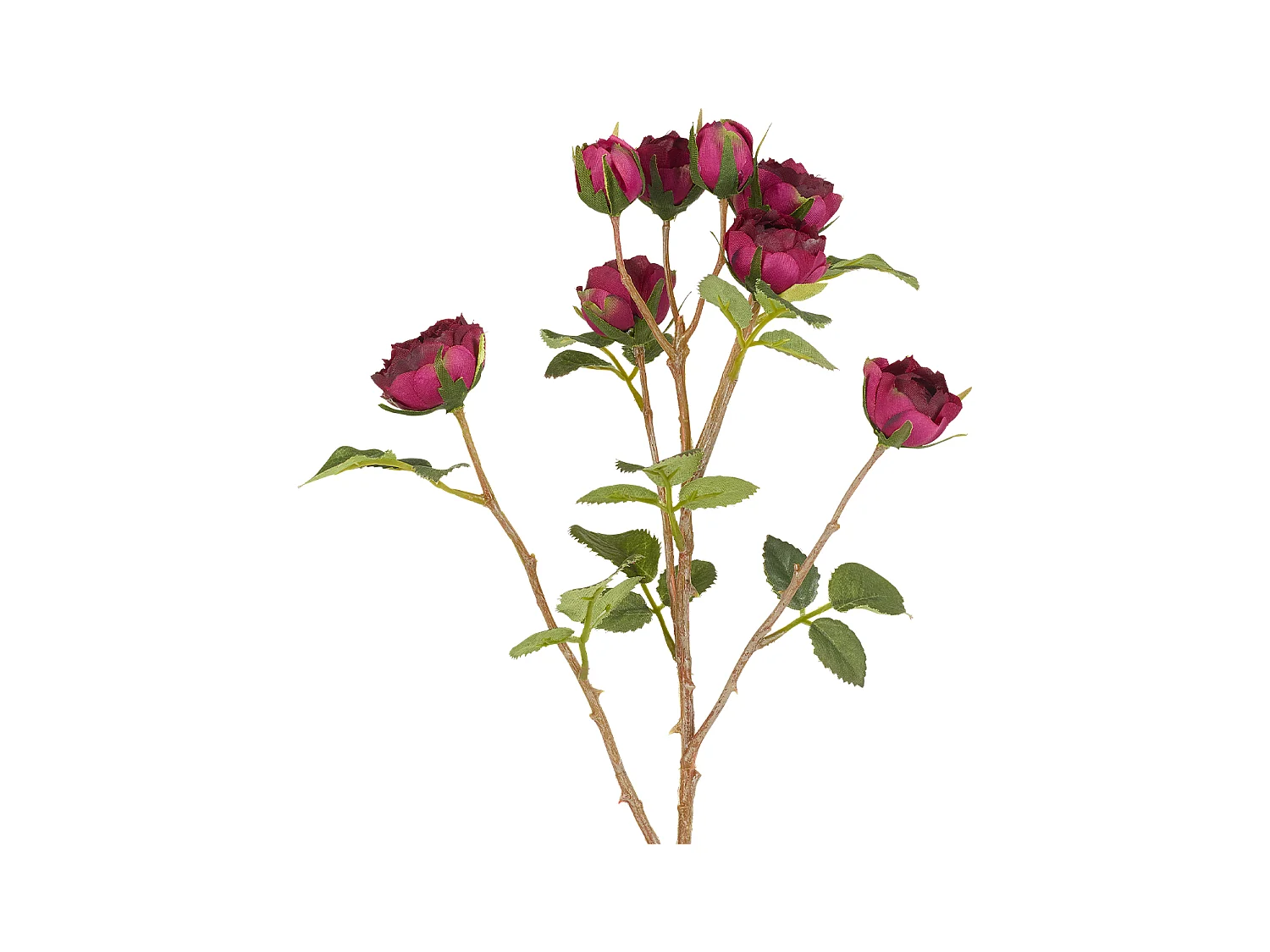 Tige de Roses Tea - Rouge