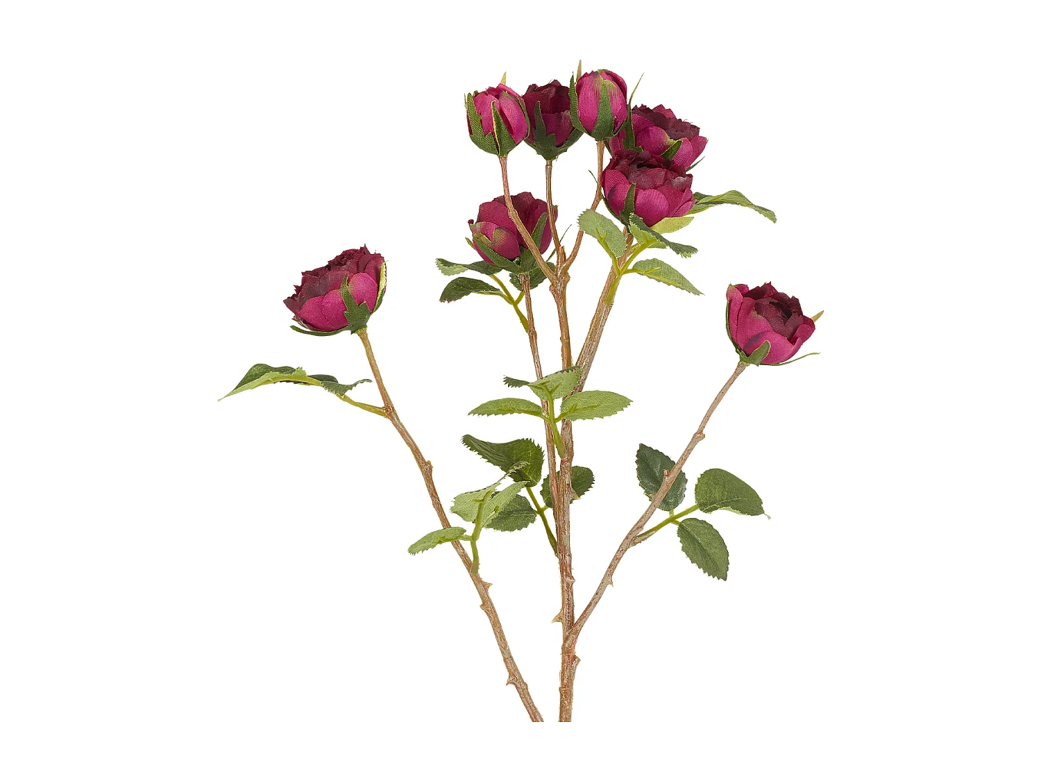 Tige de Roses Tea - Rouge